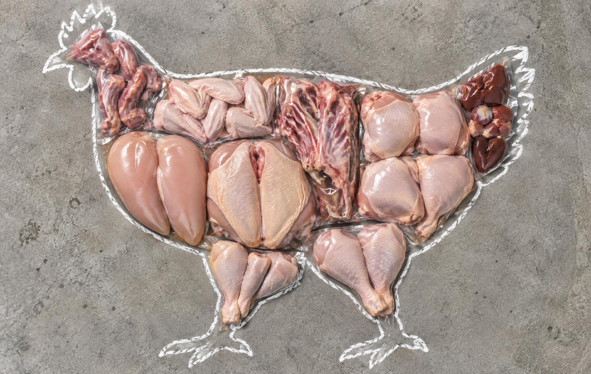 Every package of meat that comes out of one chicken, laid out inside its outline