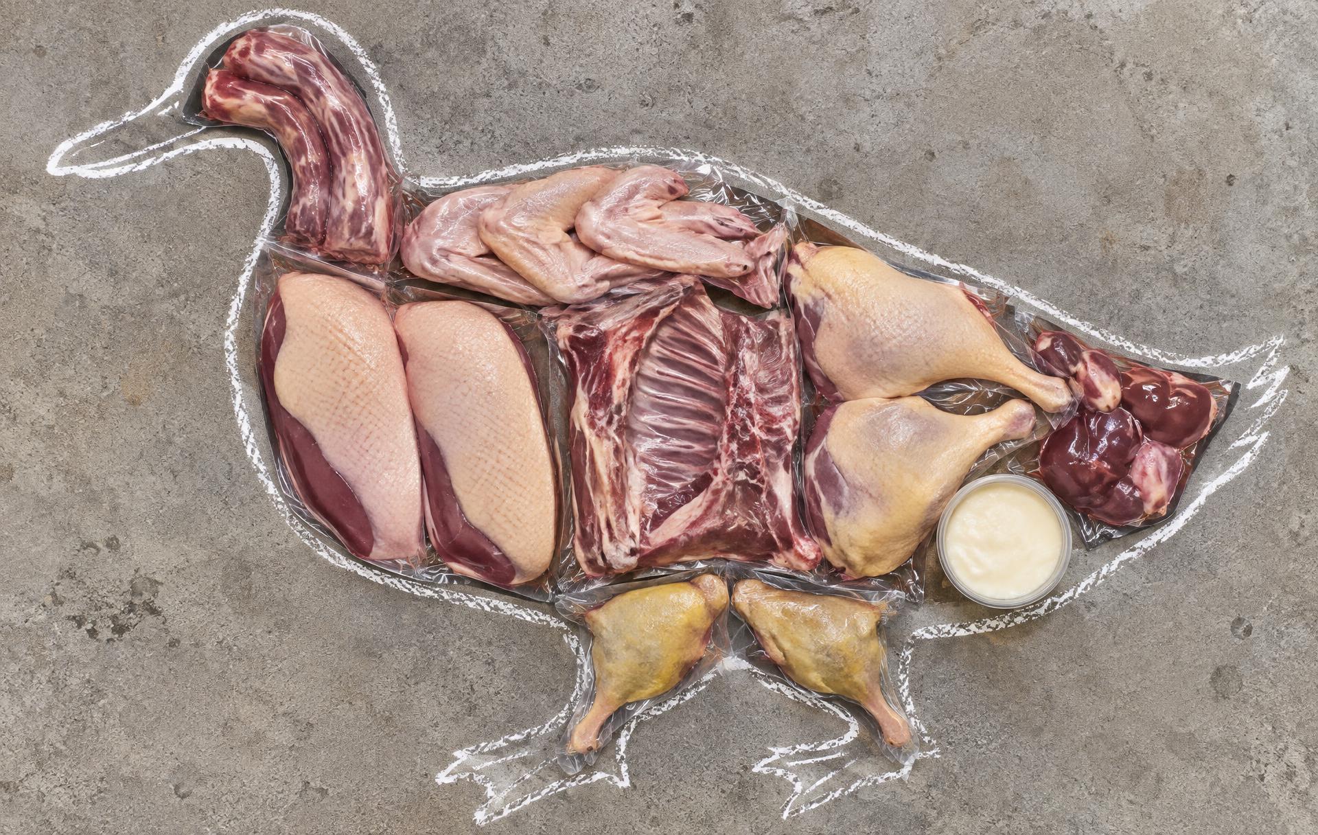 Every package of meat that comes out of one duck & goose, laid out inside its outline