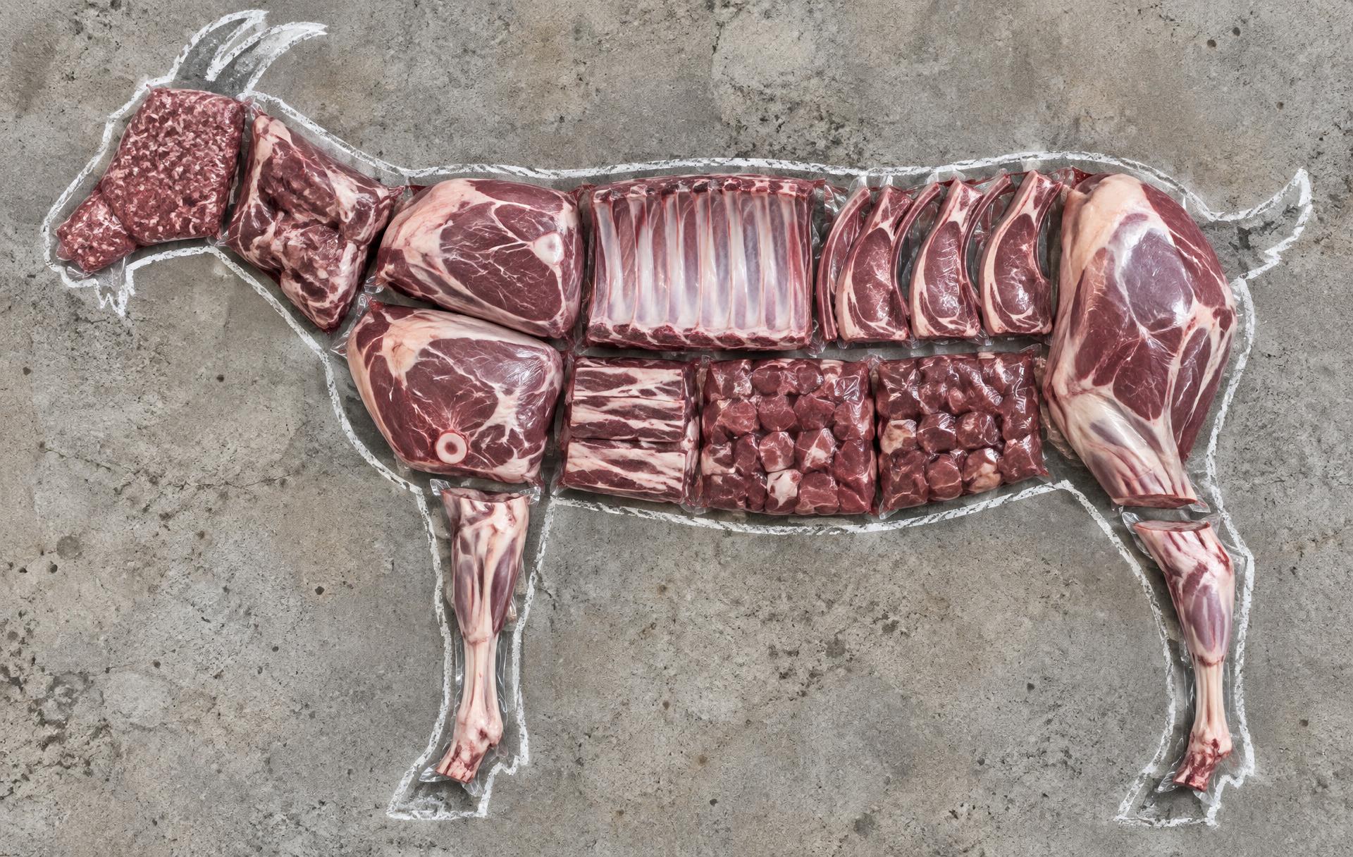 Every package of meat that comes out of one goat, laid out inside its outline