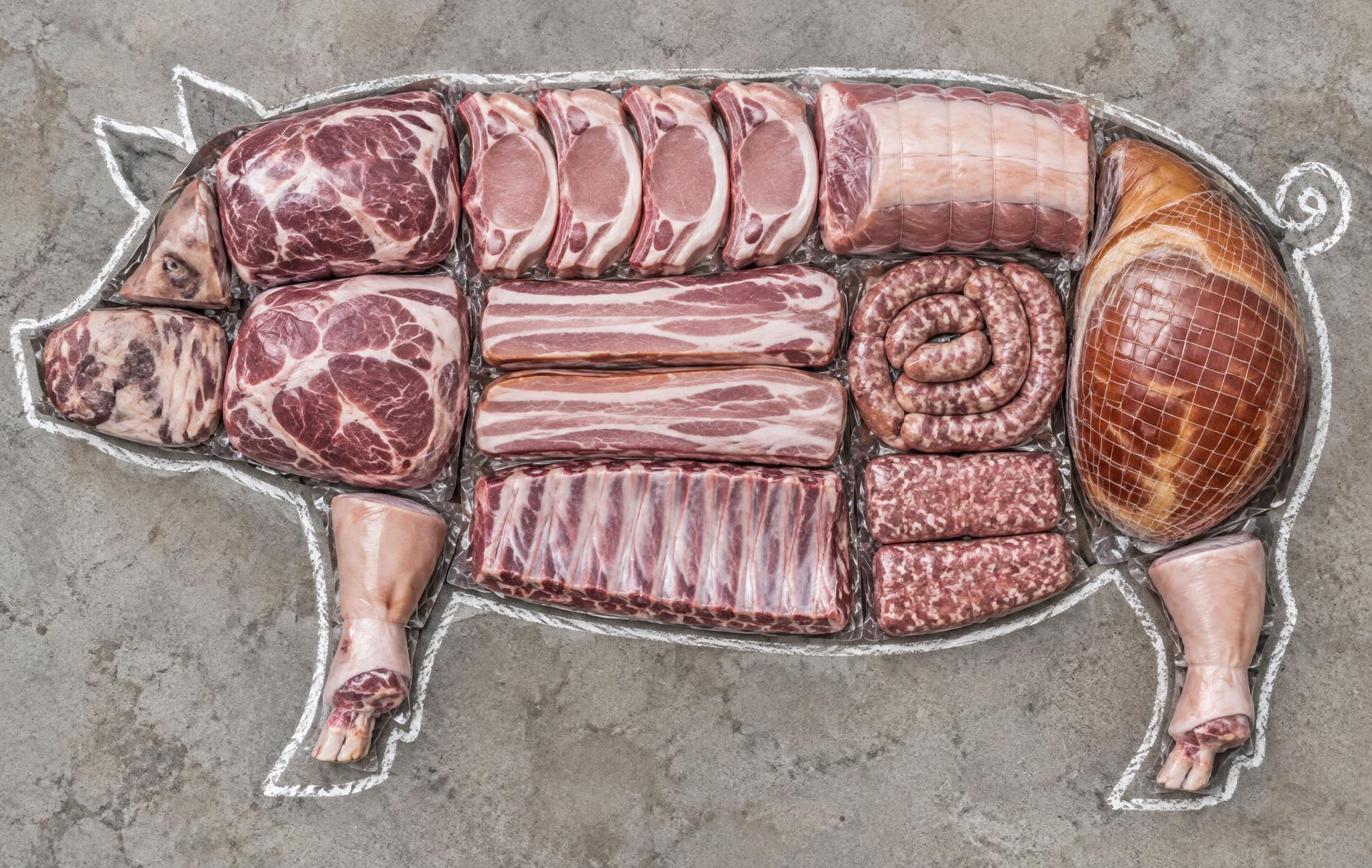 Every package of meat that comes out of one pork, laid out inside its outline