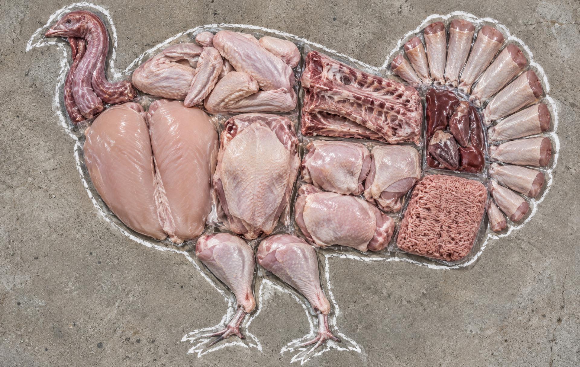 Every package of meat that comes out of one turkey, laid out inside its outline