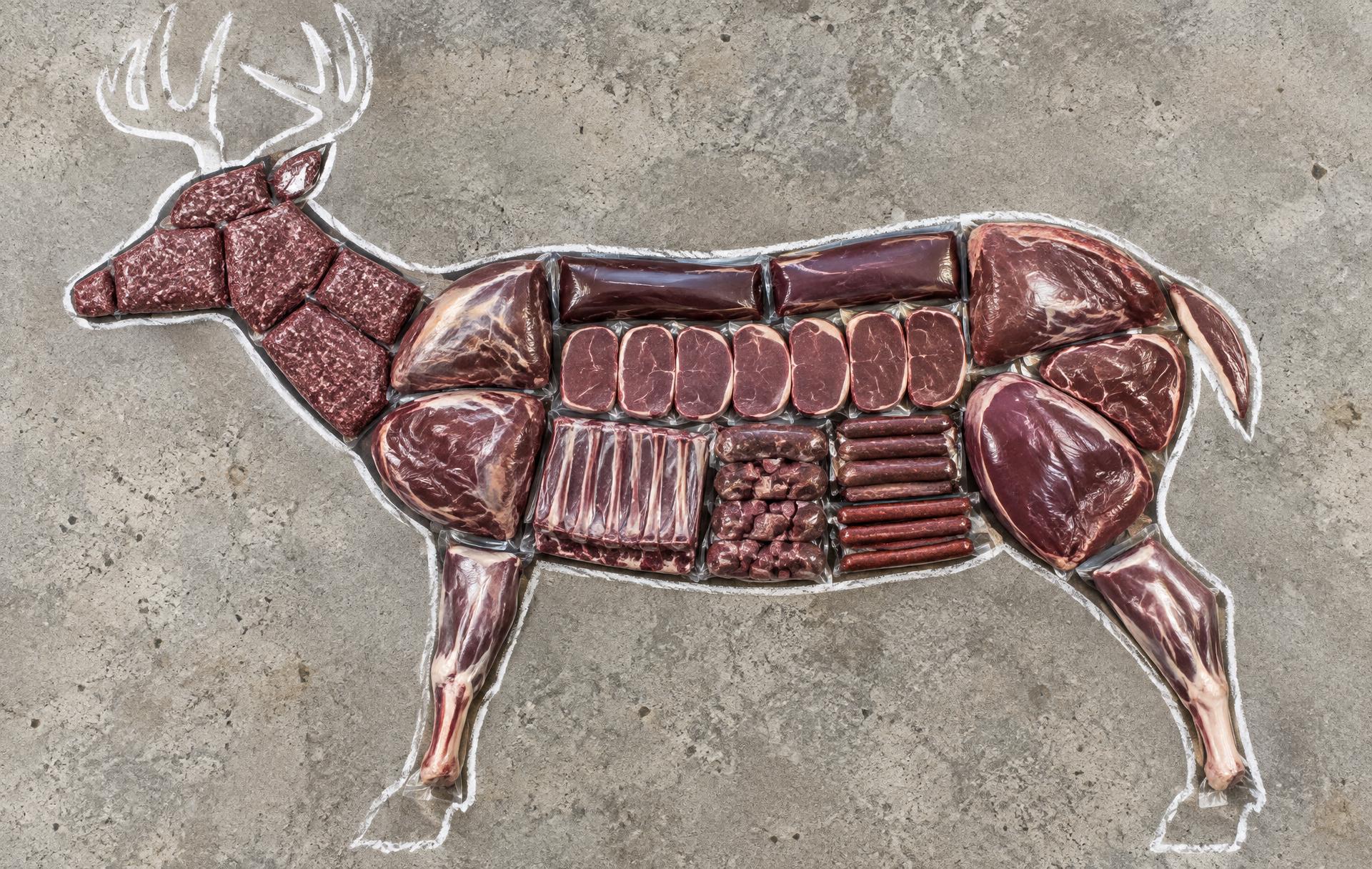 Every package of meat that comes out of one deer (venison), laid out inside its outline